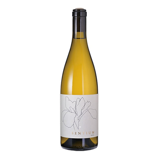 センティアム ソーヴィニヨン・ブラン メンドシーノ 2023 / Sentium Sauvignon Blanc Mendocino 2023